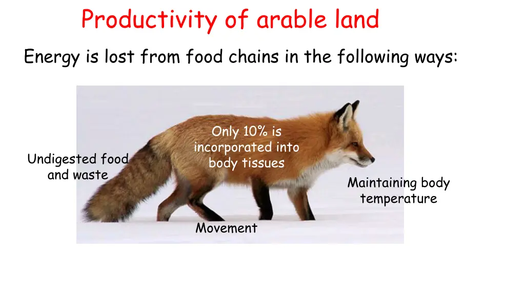 productivity of arable land energy is lost from