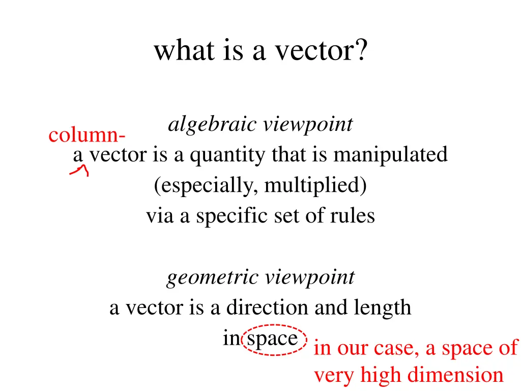 what is a vector 1