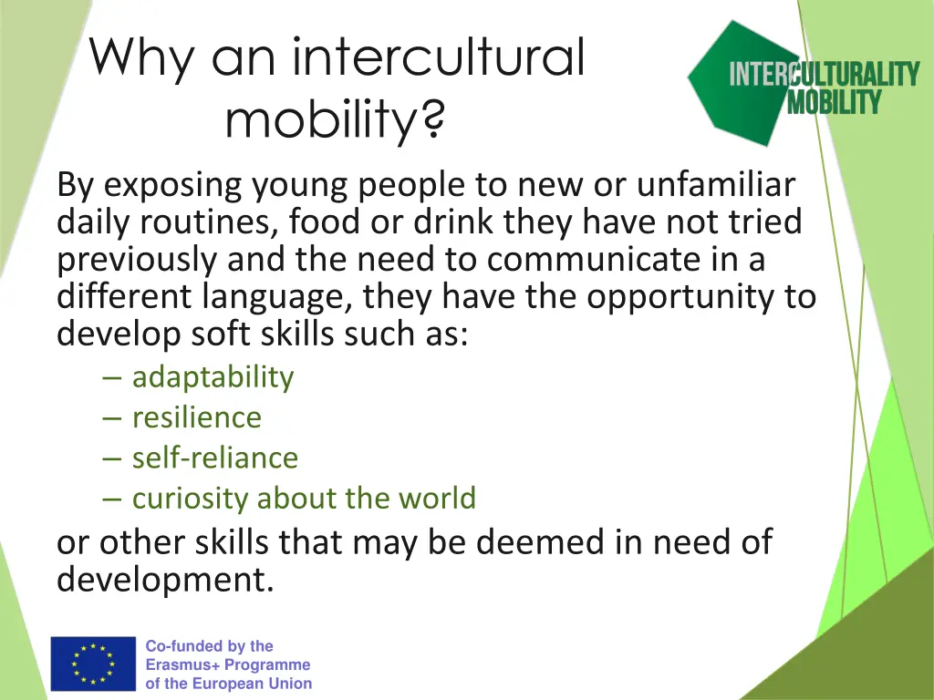 why an intercultural mobility by exposing young