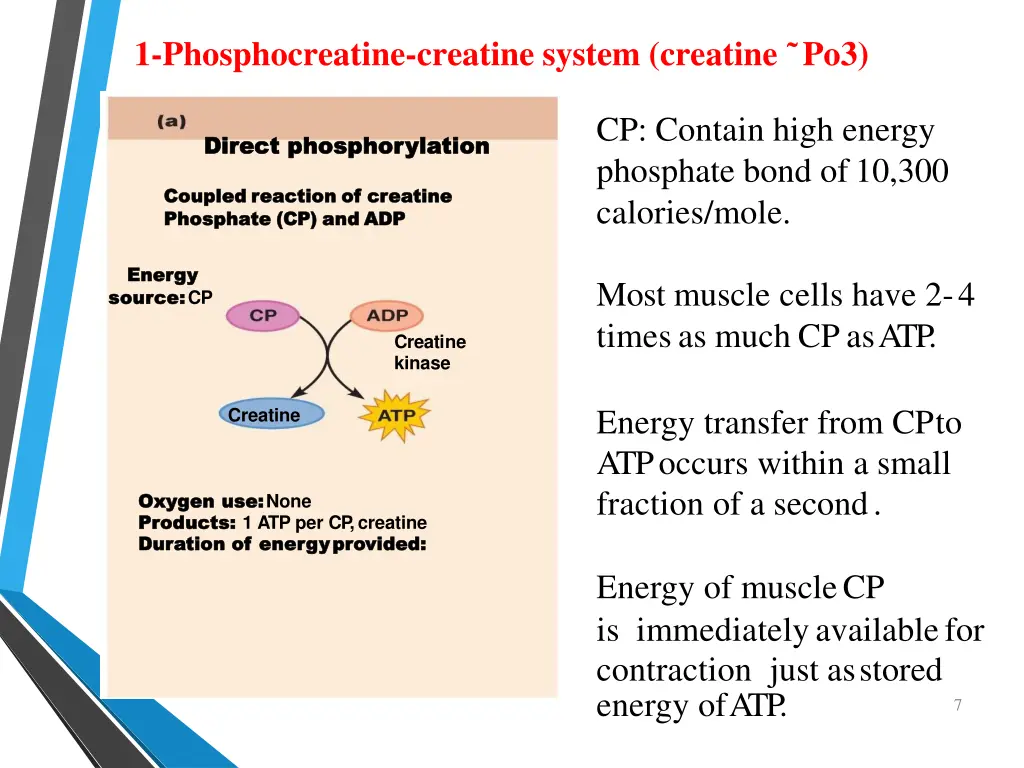 1 phosphocreatine creatine system creatine po3