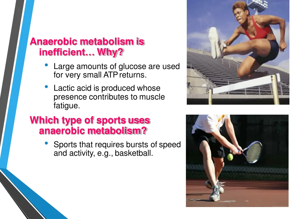 anaerobic metabolism is inefficient why large