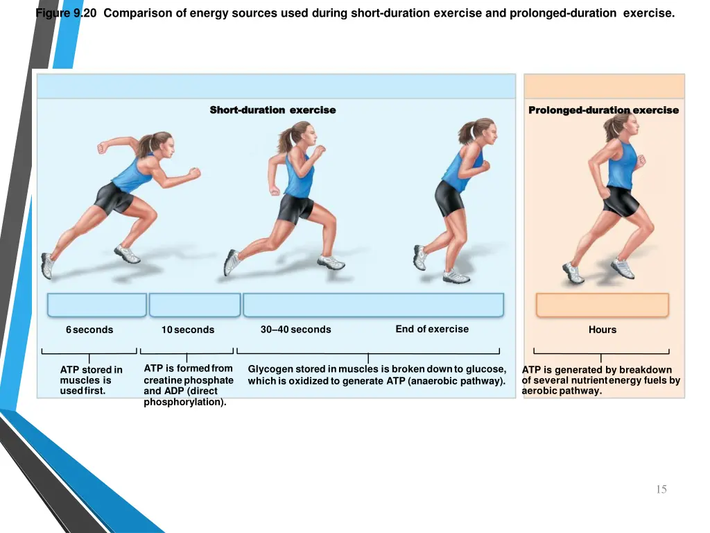 figure 9 20 comparison of energy sources used