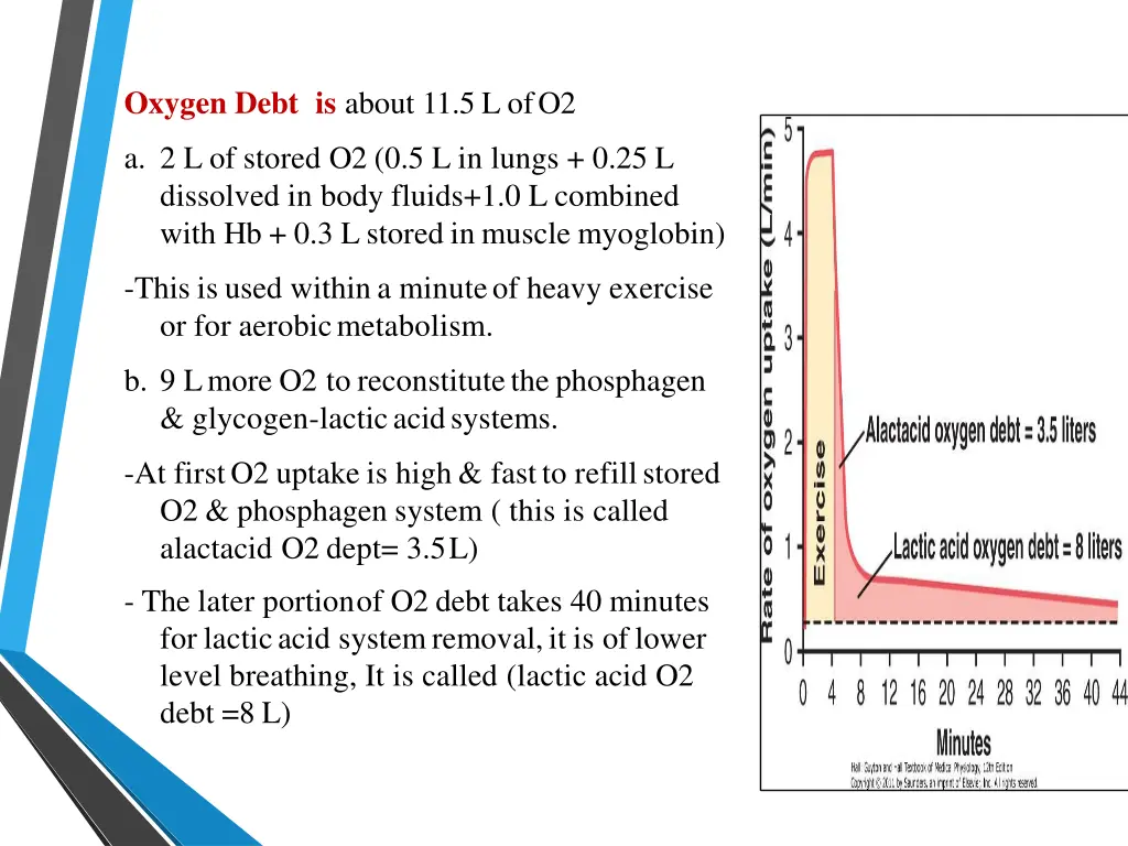 oxygen debt is about 11 5 l ofo2