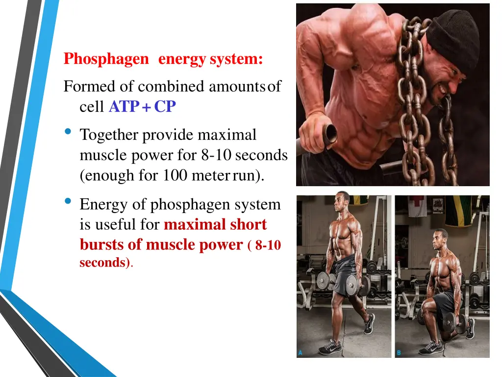 phosphagen energysystem
