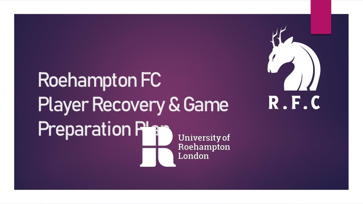 roehampton fc player recovery game preparation