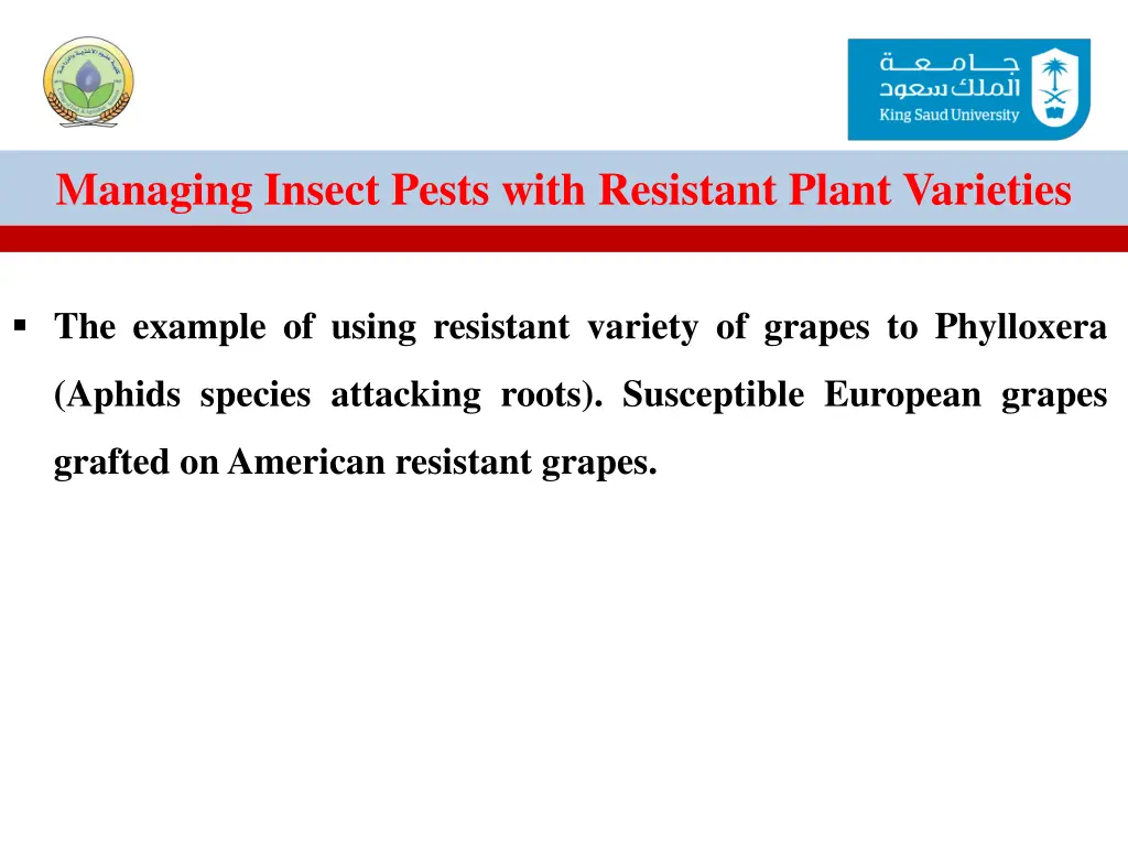 managing insect pests with resistant plant 2