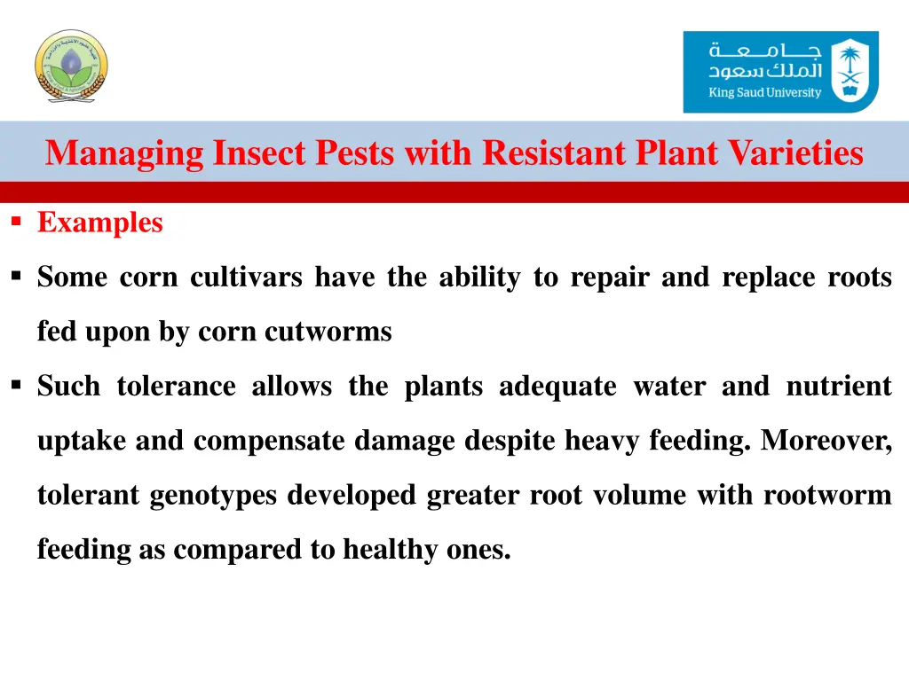 managing insect pests with resistant plant 26