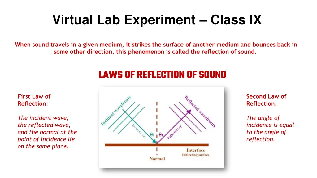 virtual lab experiment class ix