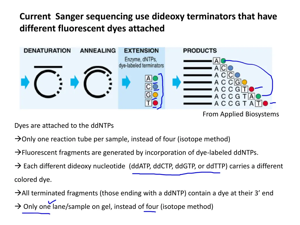 current sanger sequencing use dideoxy terminators