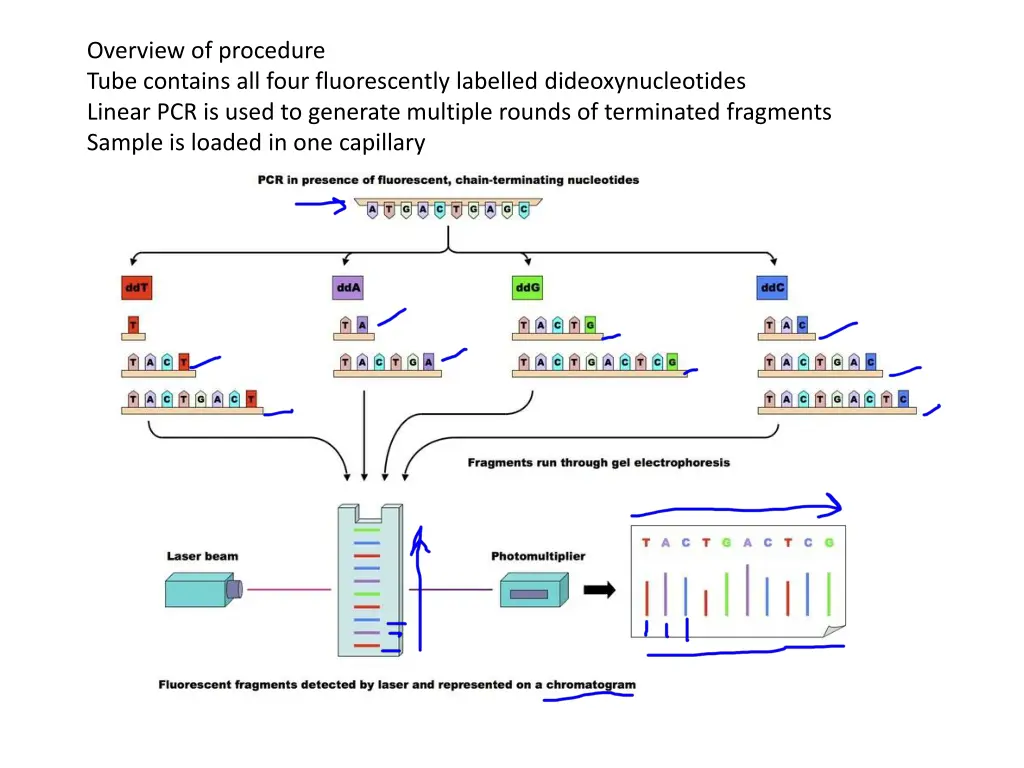 overview of procedure tube contains all four
