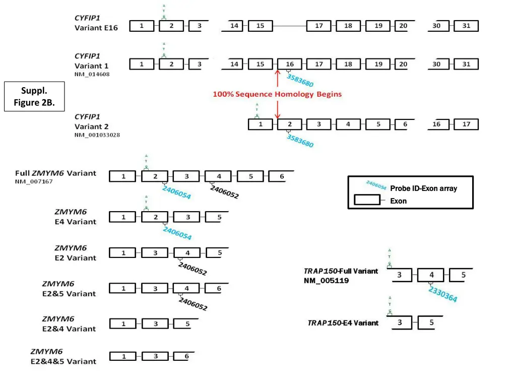 suppl figure 2b