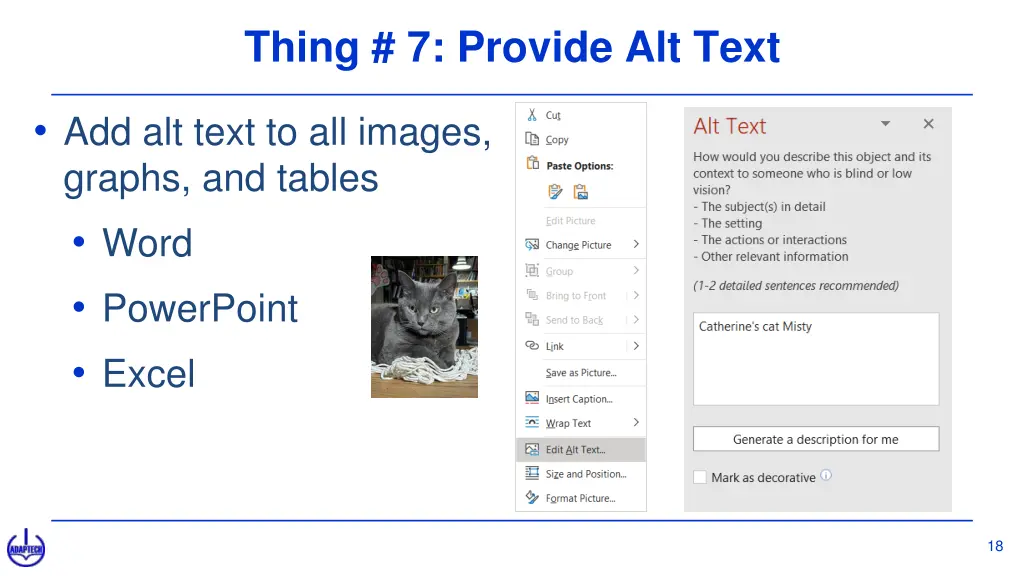 thing 7 provide alt text