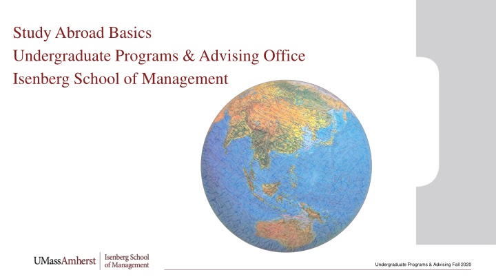 study abroad basics undergraduate programs