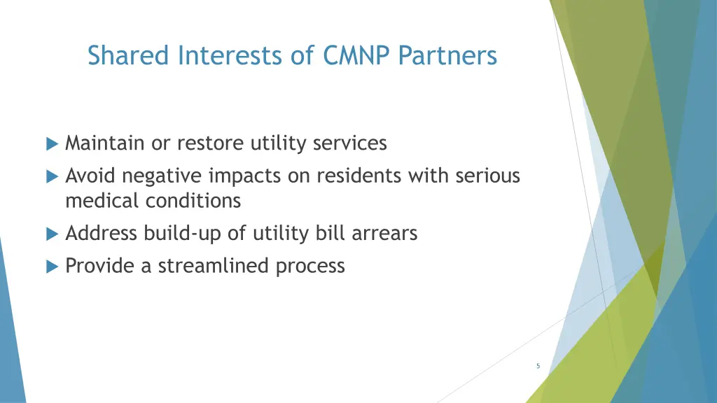 shared interests of cmnp partners