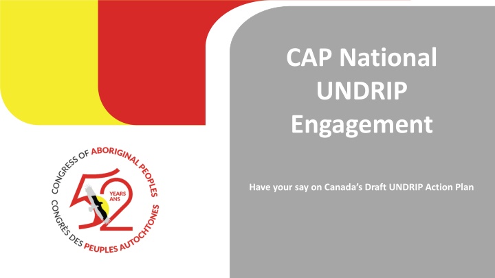 cap national undrip engagement