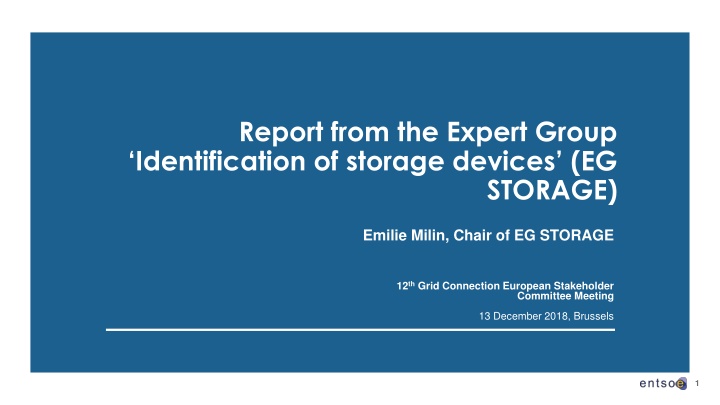 report from the expert group identification