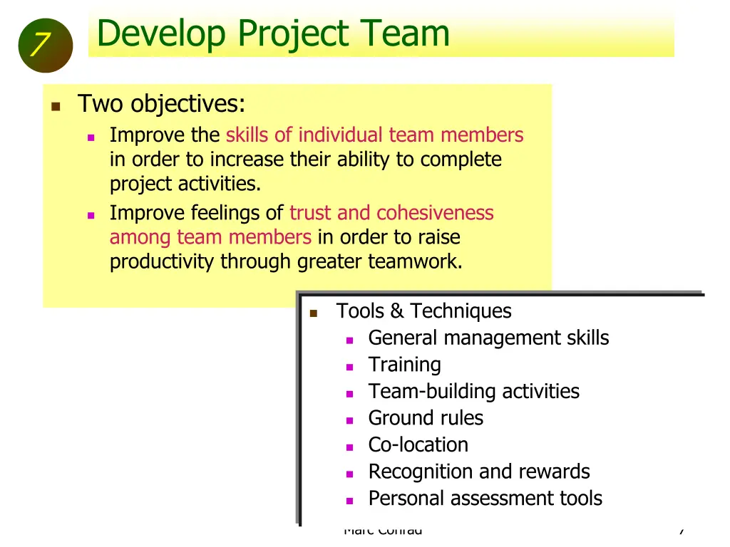 develop project team