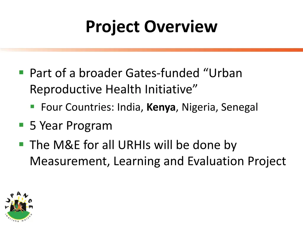 project overview