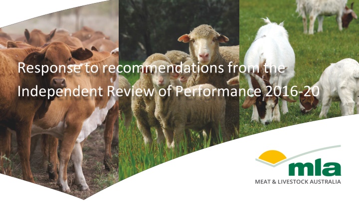 response to recommendations from the independent