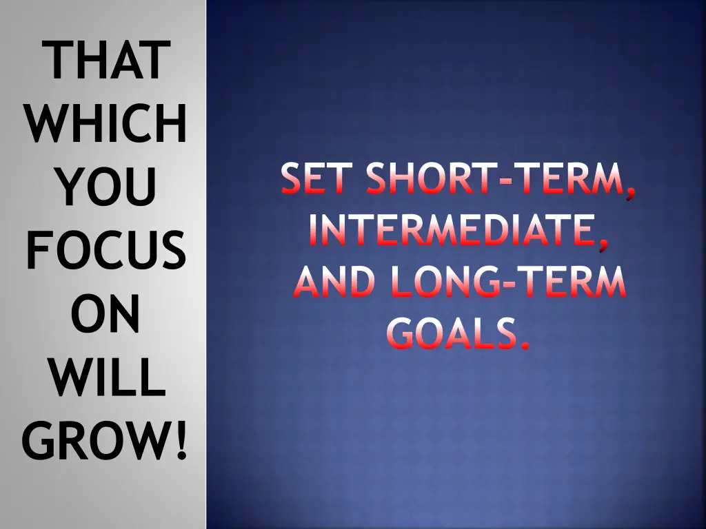 that which you focus on will grow