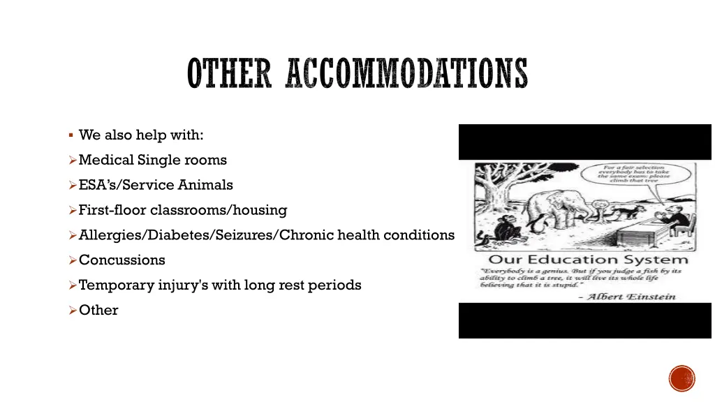 other accommodations