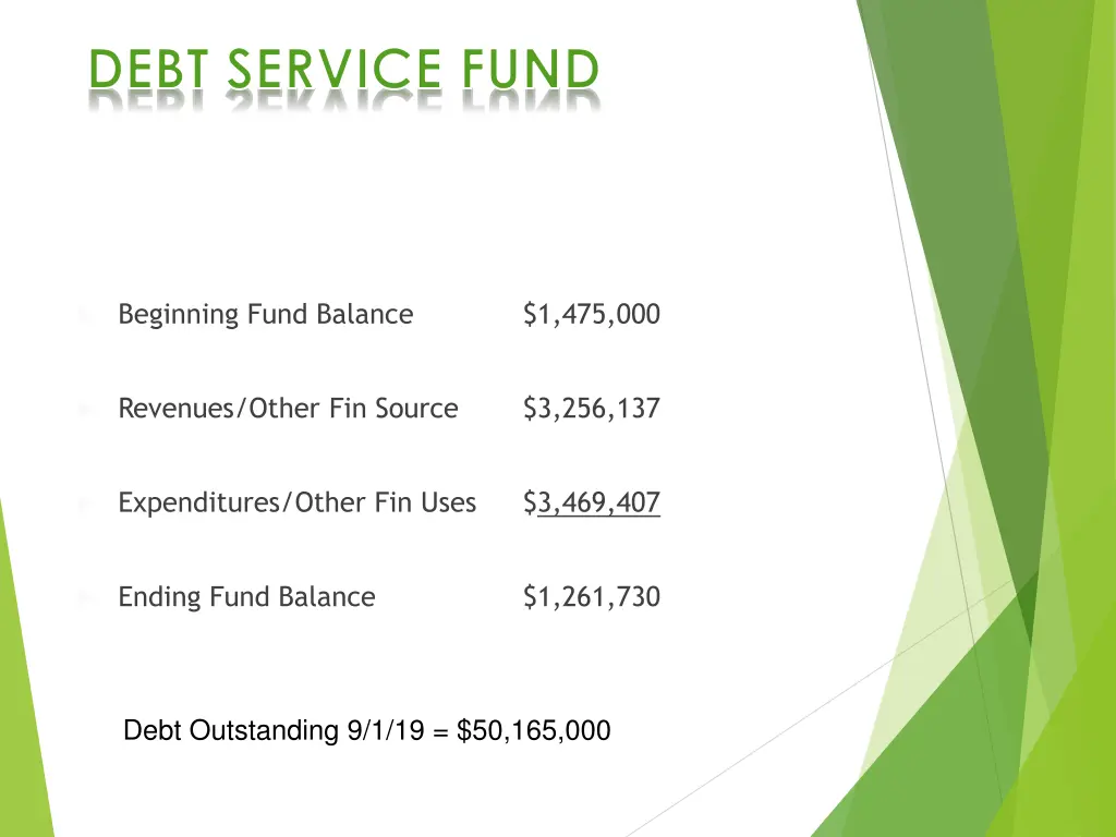 debt service fund