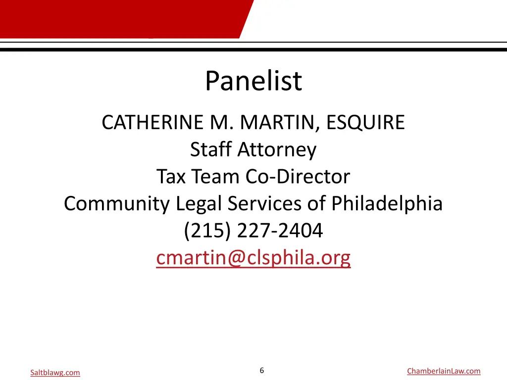 panelist 2