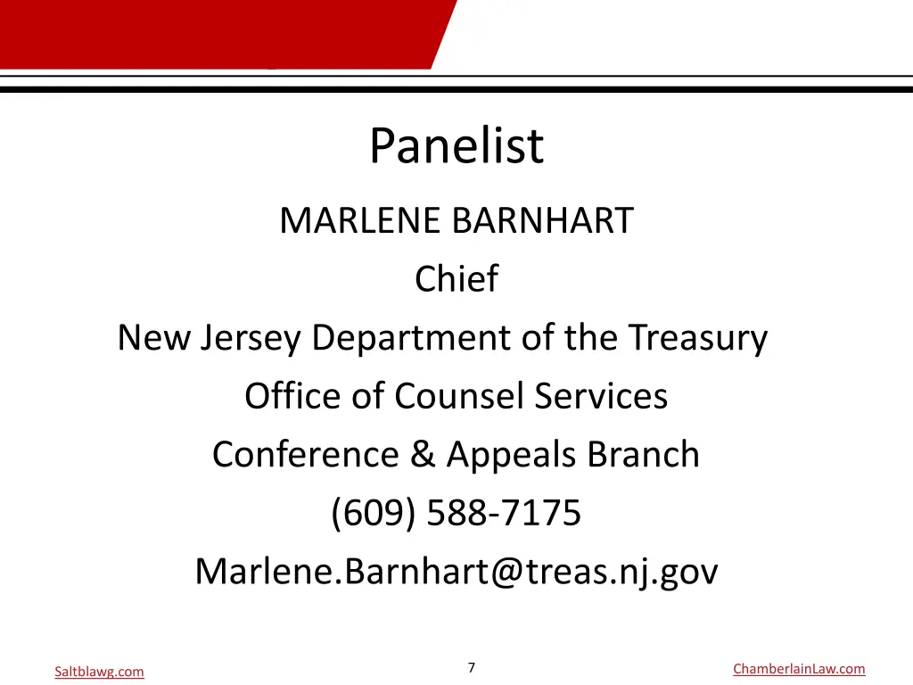 panelist 3