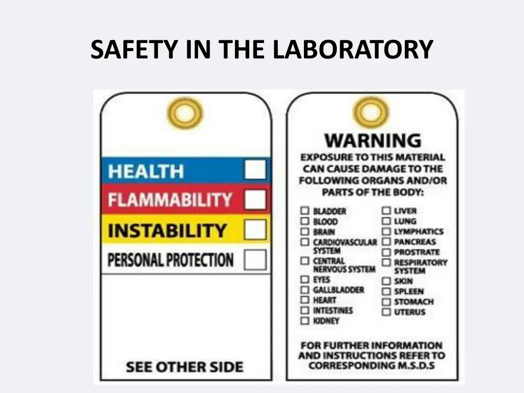 safety in the laboratory 4
