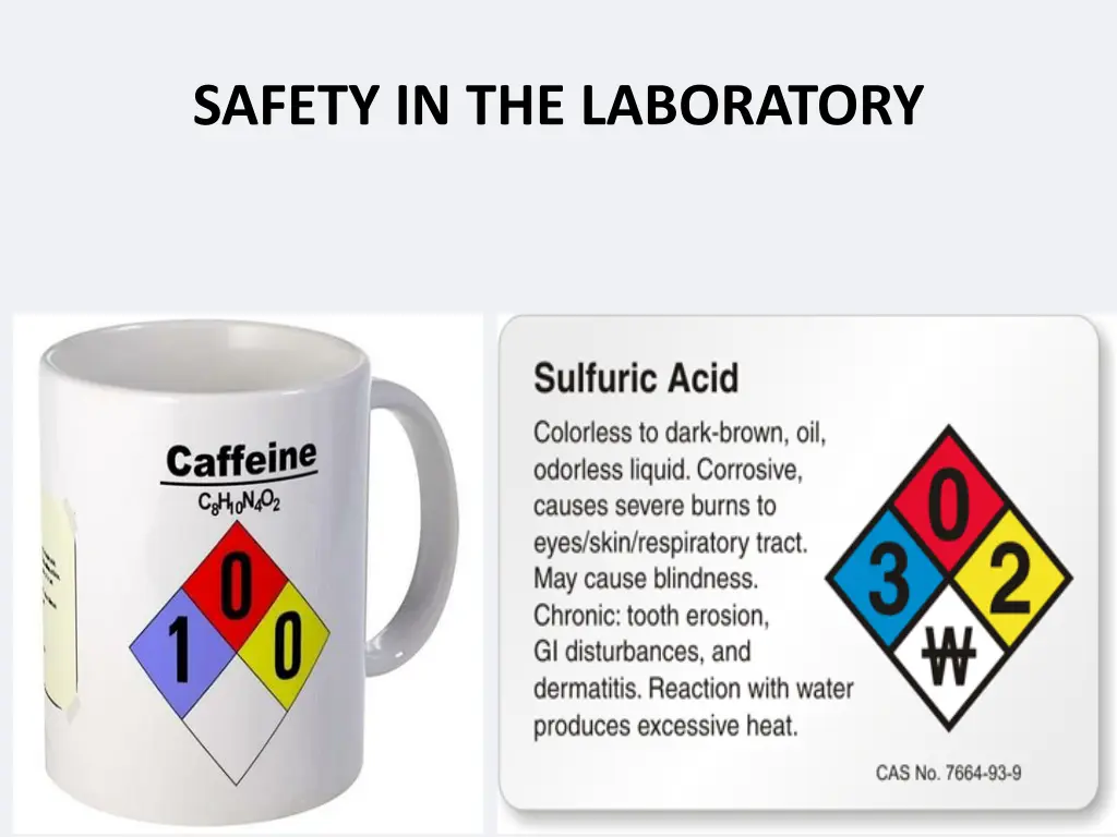 safety in the laboratory 5