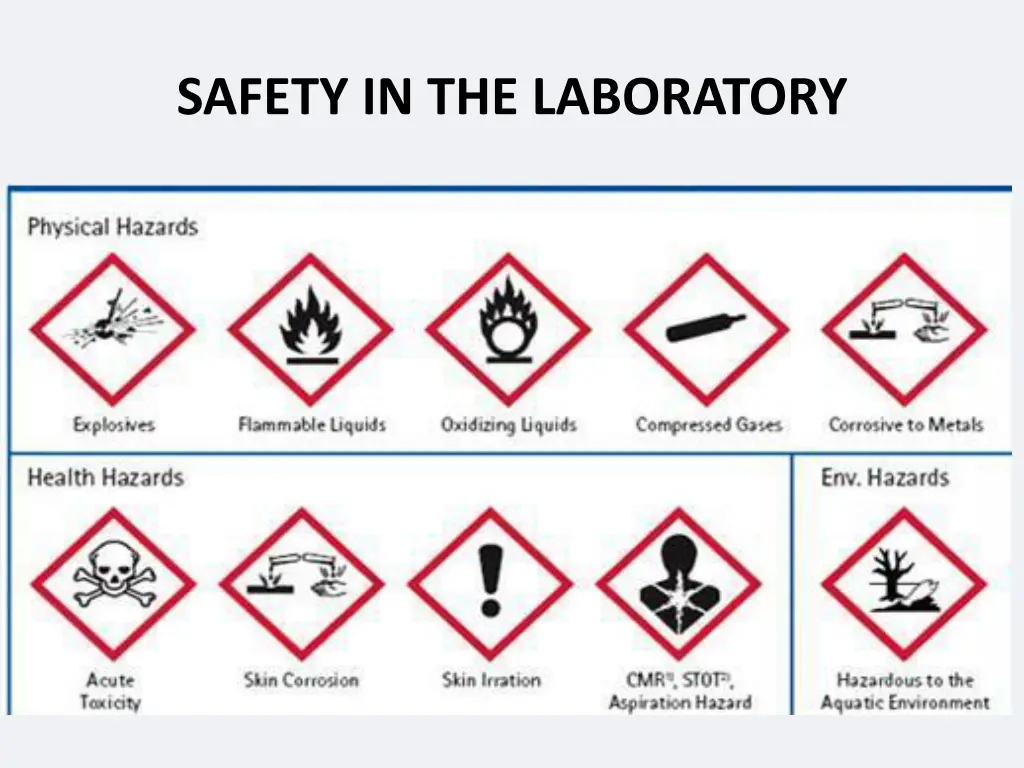 safety in the laboratory 7