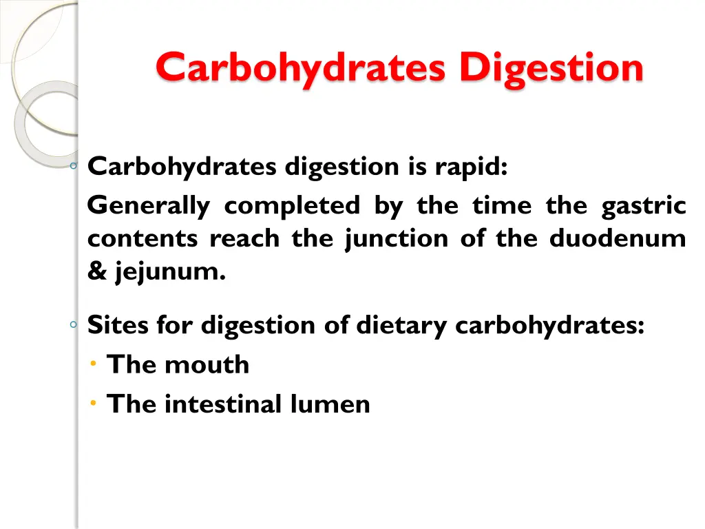 carbohydrates digestion