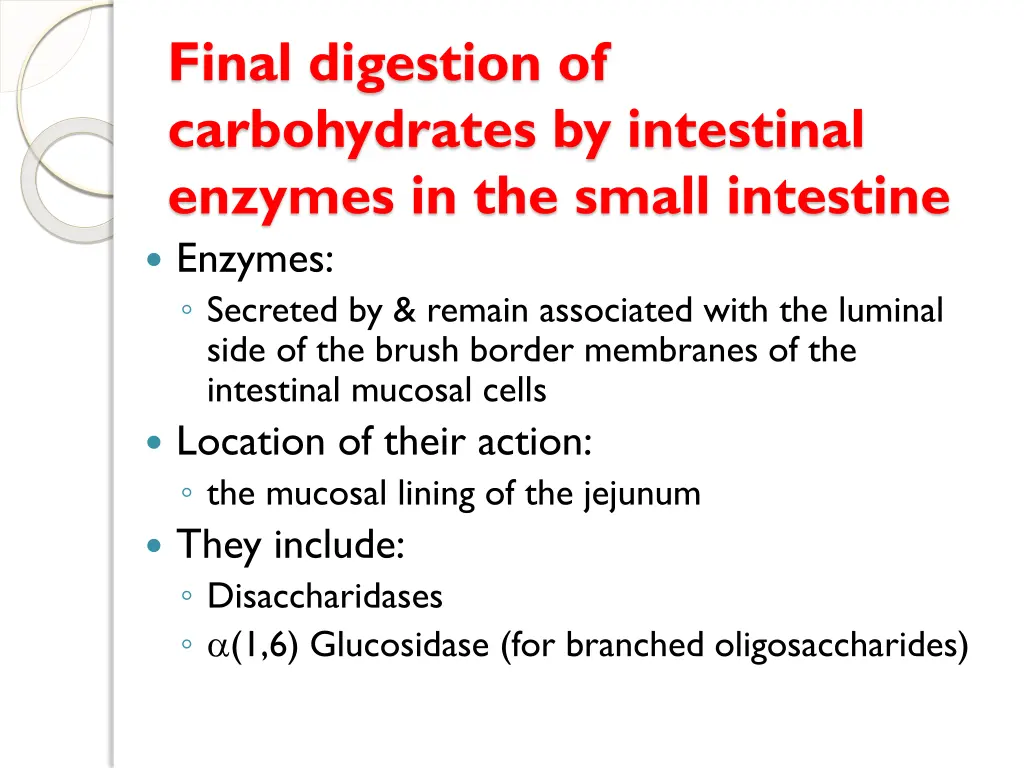 final digestion of carbohydrates by intestinal