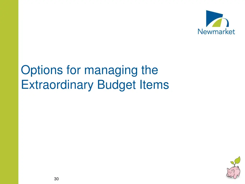 options for managing the extraordinary budget