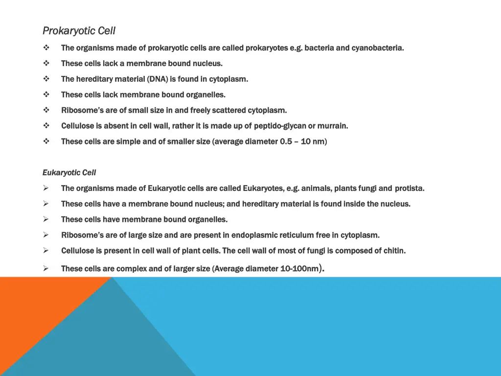 prokaryotic cell prokaryotic cell