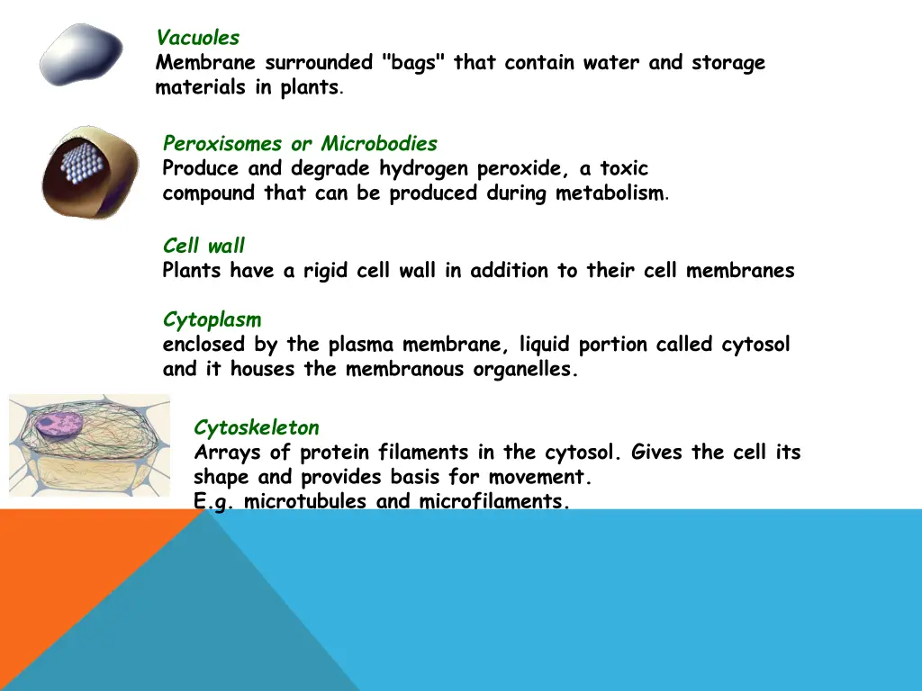 vacuoles membrane surrounded bags that contain