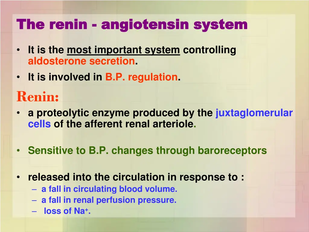 the renin the renin angiotensin system