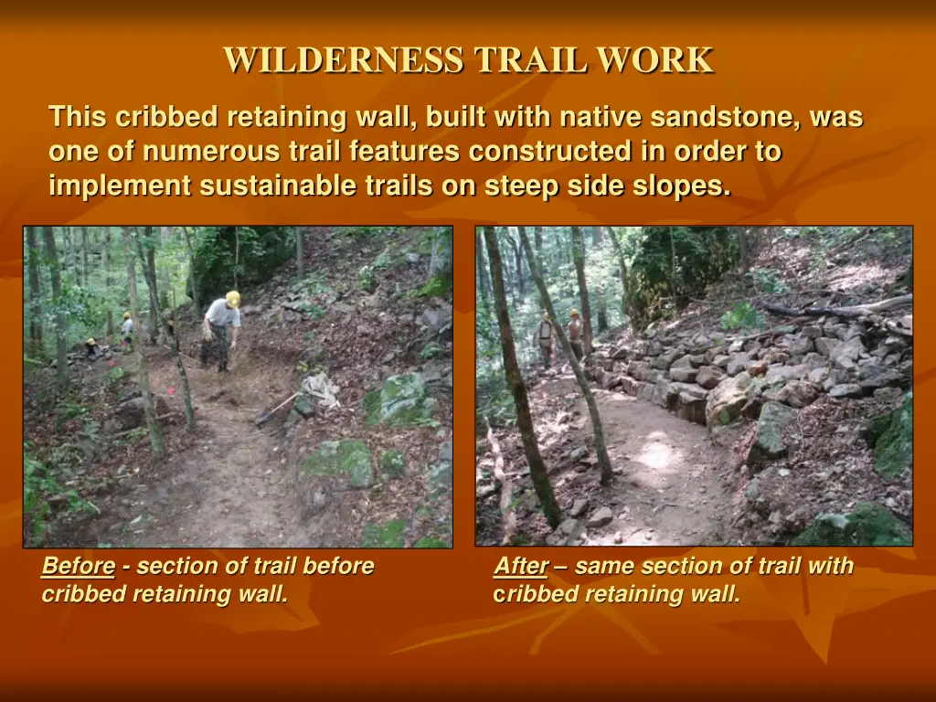 wilderness trail work 1