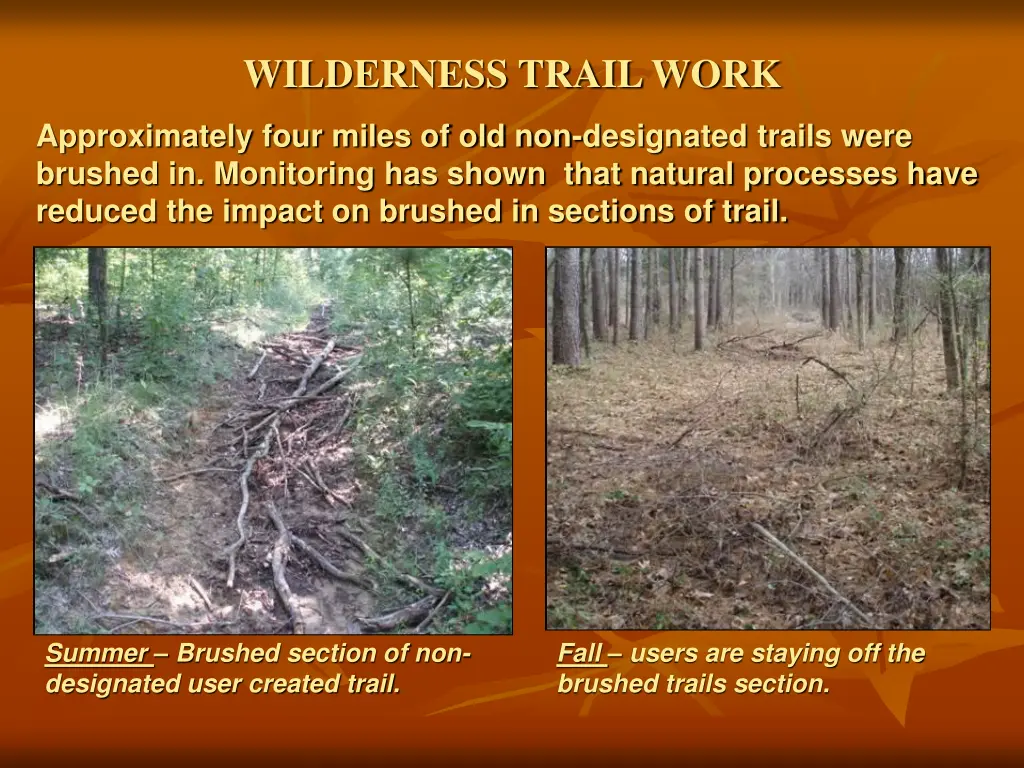 wilderness trail work 3