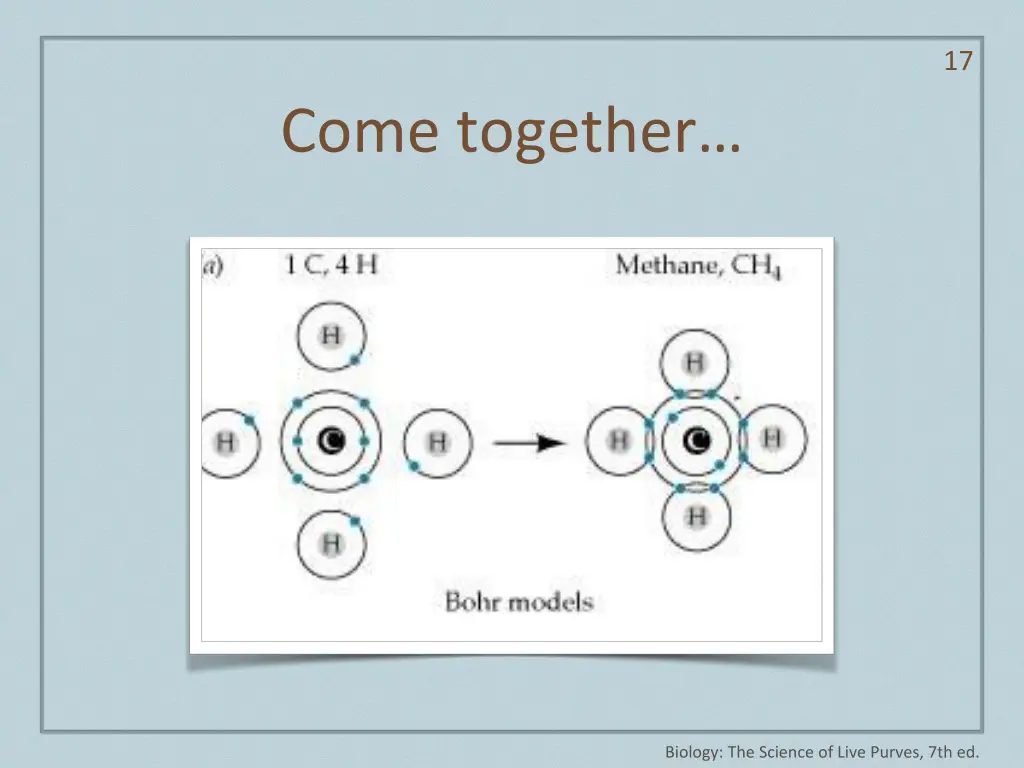 slide17