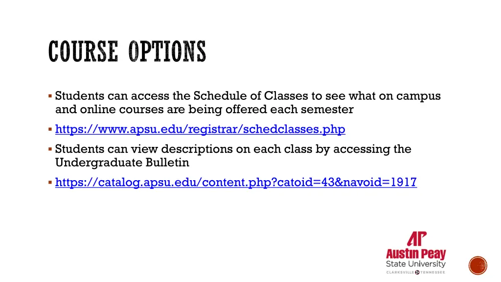 course options 1