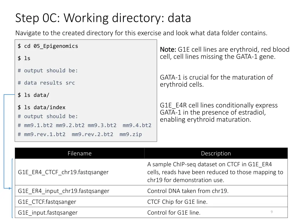 step 0c working directory data