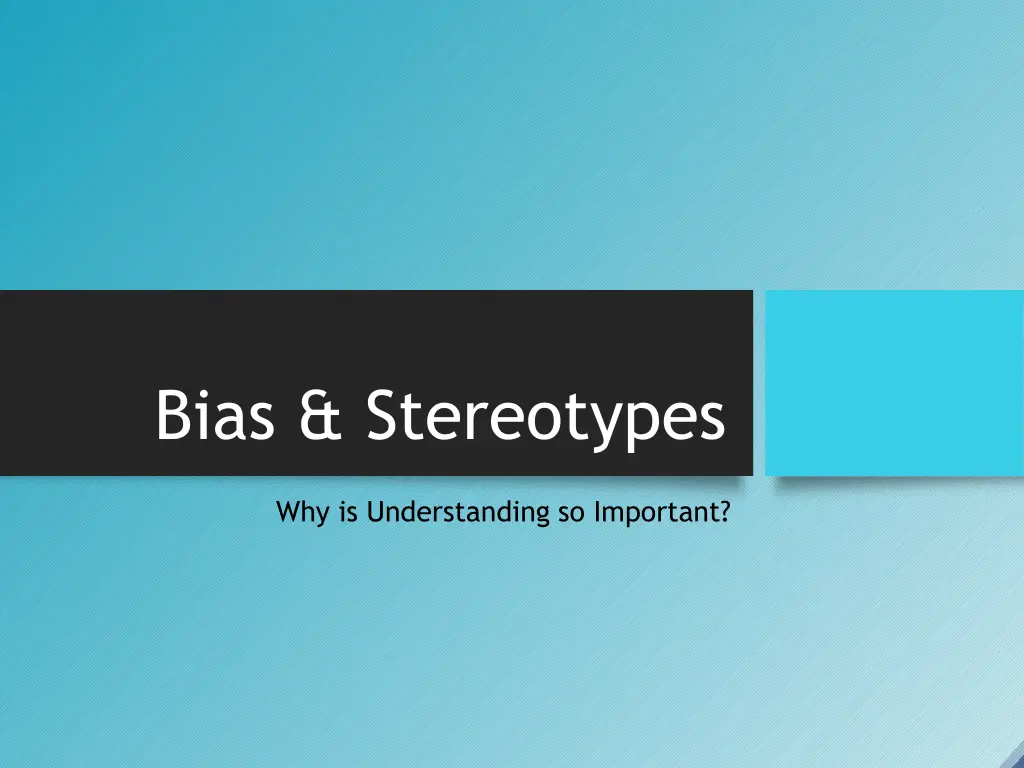 bias stereotypes