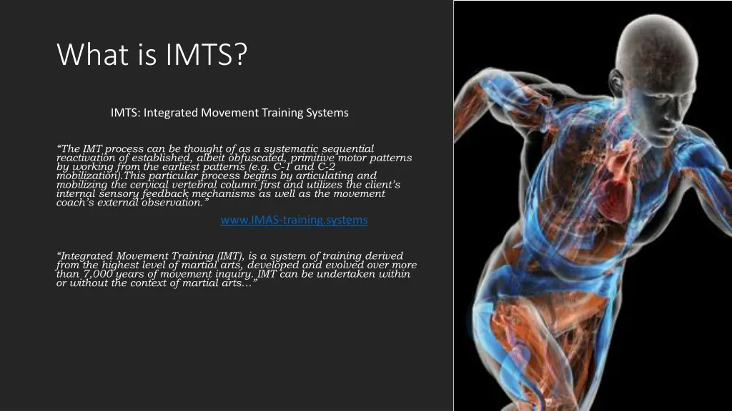 what is imts