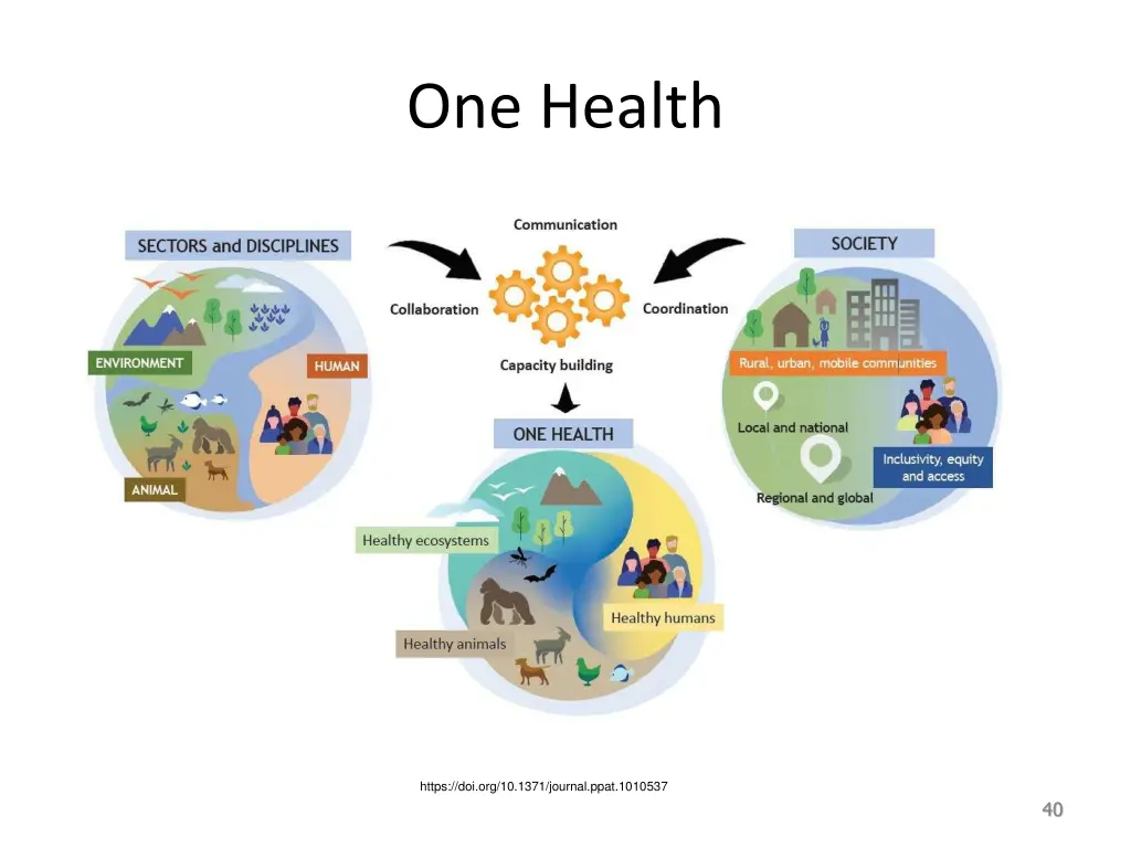 one health 1