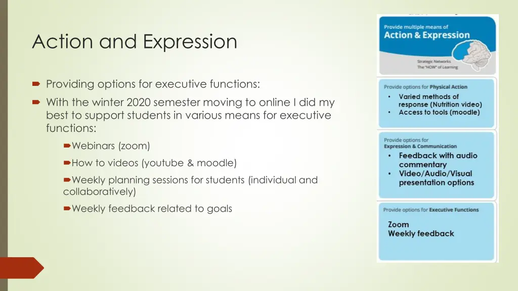 action and expression 2