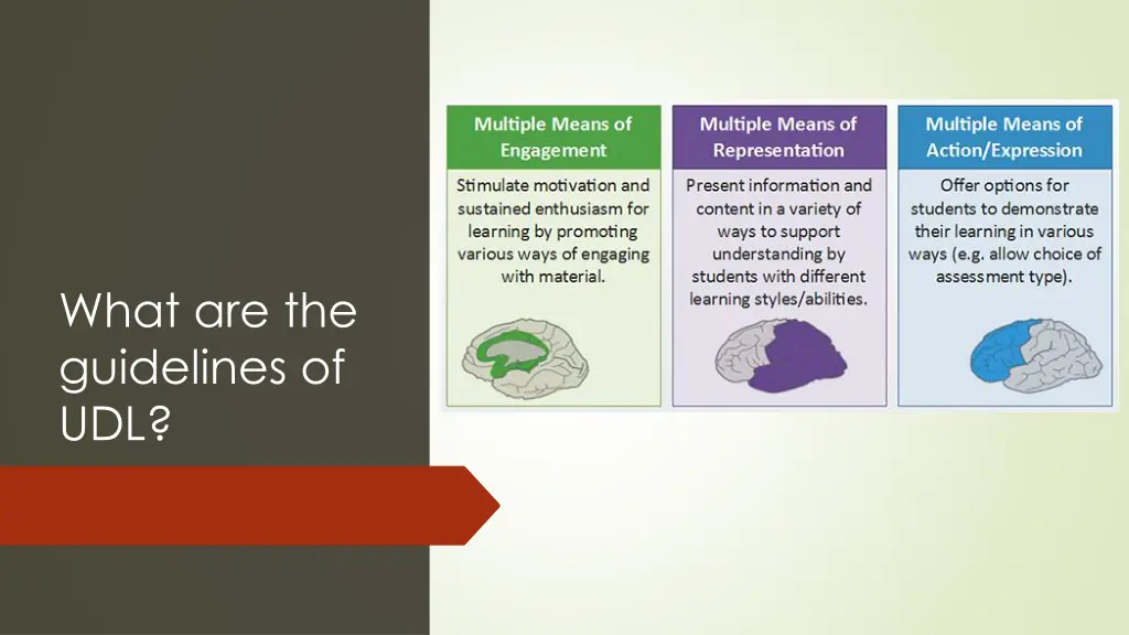 what are the guidelines of udl