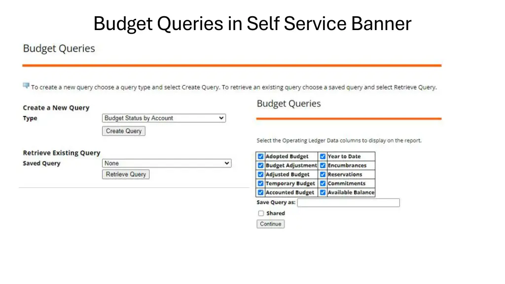 budget queries in self service banner