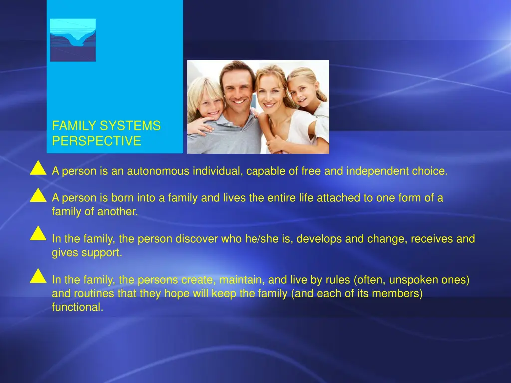 family systems perspective