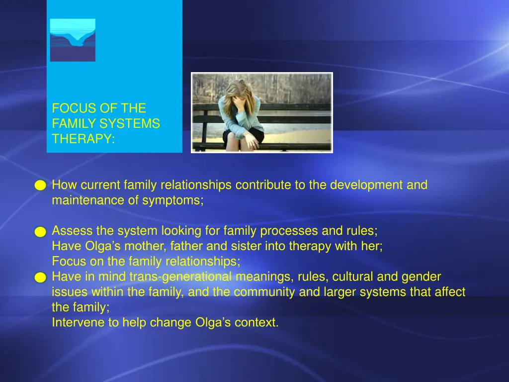 focus of the family systems therapy